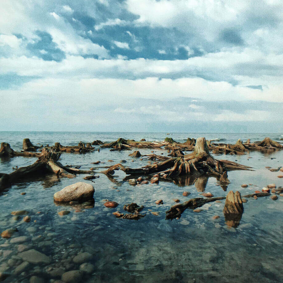 коряги и камни в воде.